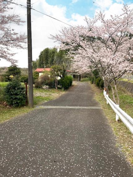 千葉市緑区大椎町