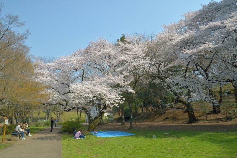 公園 箱根山　徒歩5分です。