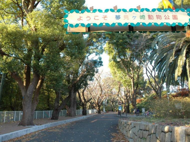 公園 夢見ヶ崎動物公園（川崎市立の動物園で入園料は無料。64種の動物が飼育されており、園内には公園や展望台などのスポットも。）