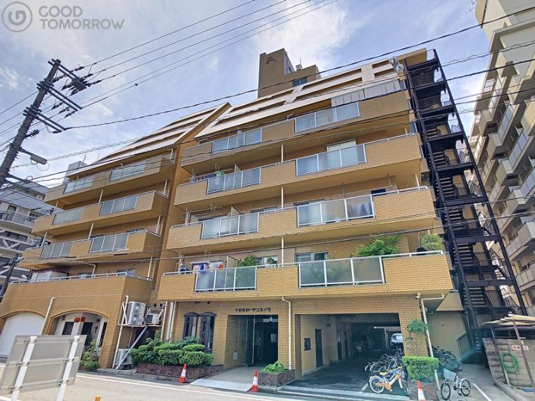 十日市ガーデンハイツ 5階