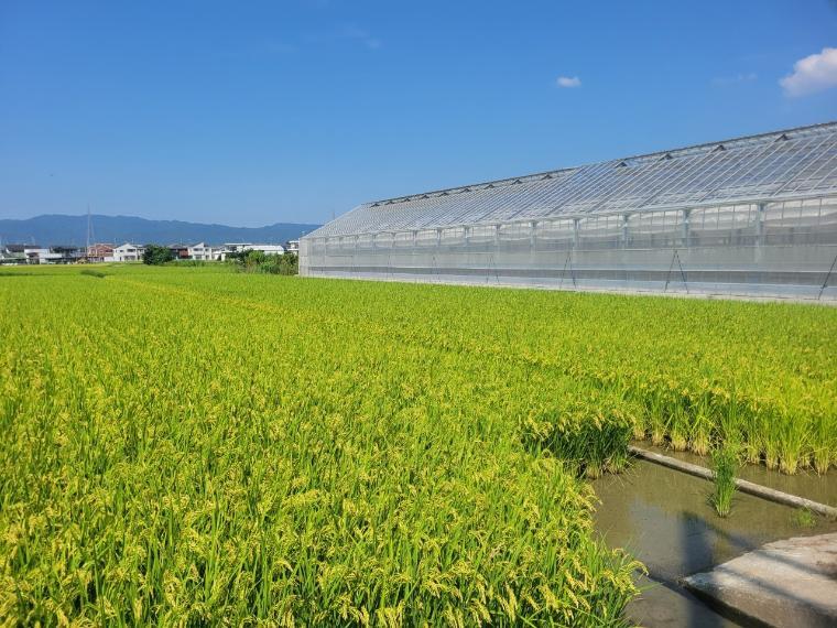 和歌山市岩橋
