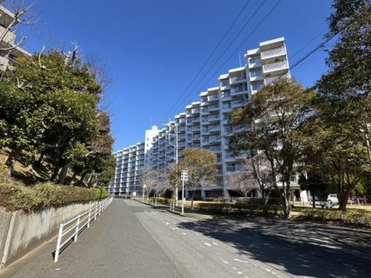 ハッコー佐倉マンション 8階