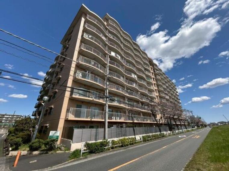 ヴェルミドール多摩川 8階