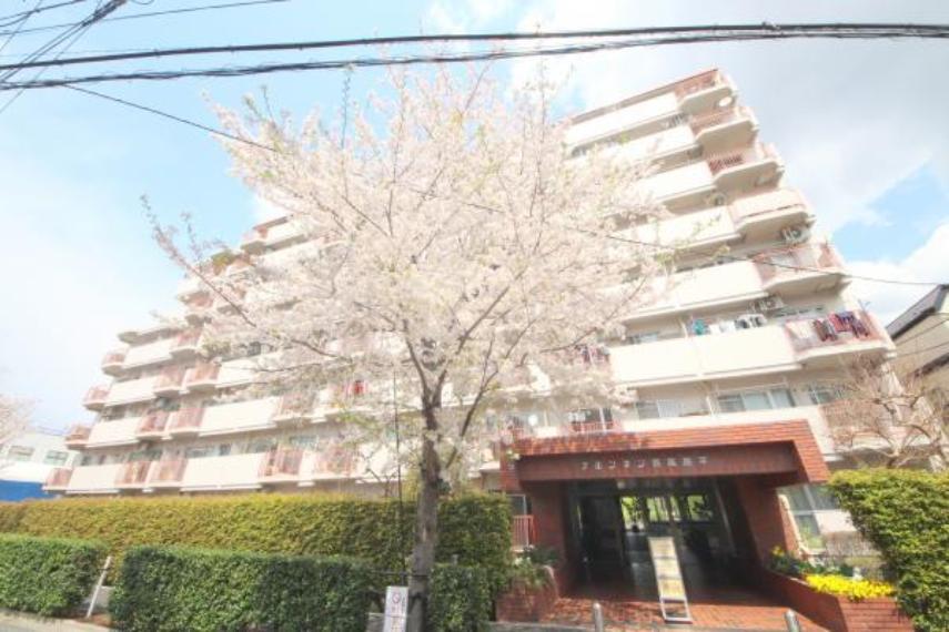 ブルンネン西高島平 8階