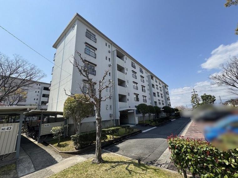 富田第二住宅76号棟 4階