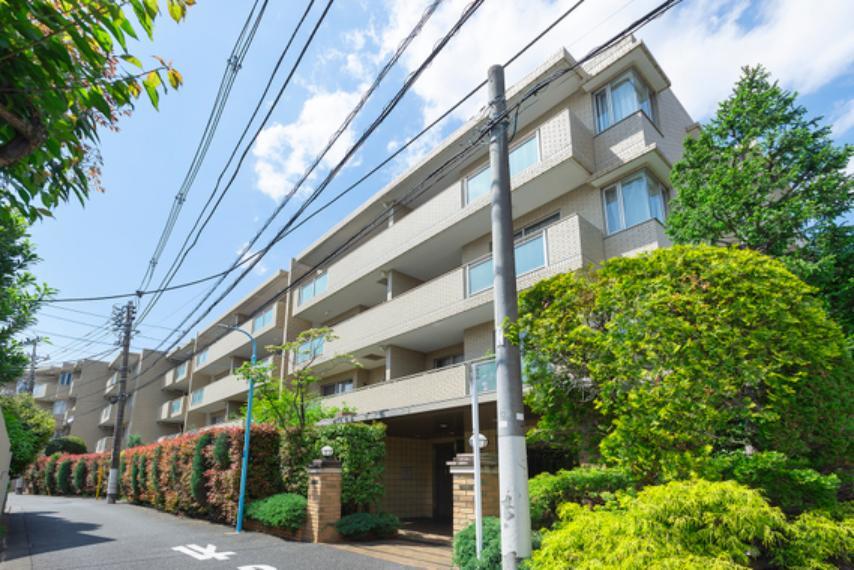 東急ドエル・プレステージ浜田山ガーデンズ 3階
