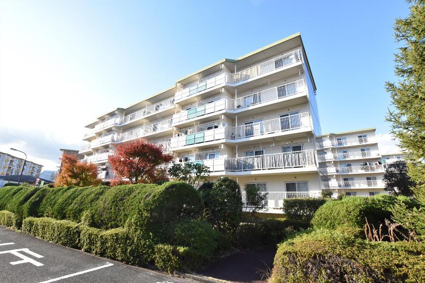 グリーンハイムいずみ野32号棟 5階