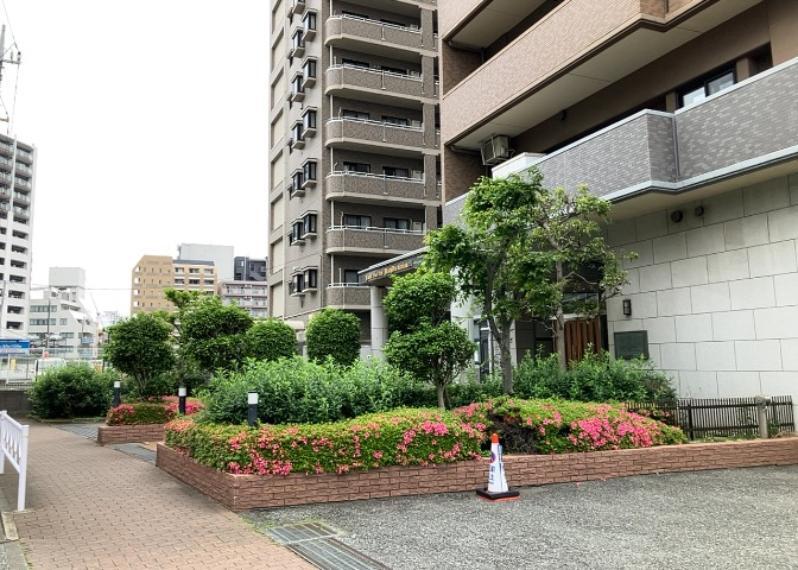 ライオンズガーデン町田駅南 14階