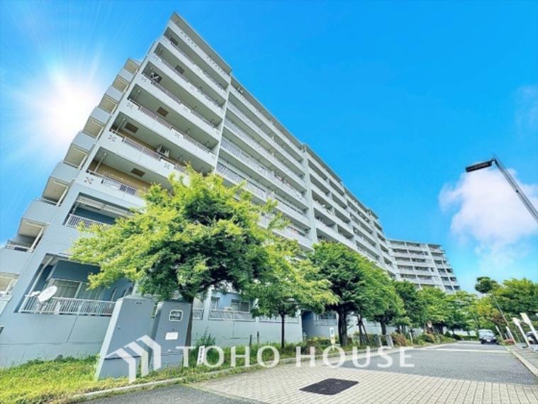 蓮生寺公園通り三番街6号棟 8階
