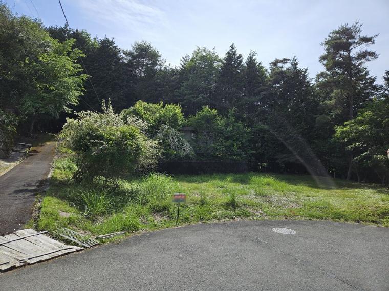 亀岡市畑野町土ケ畑大タワ