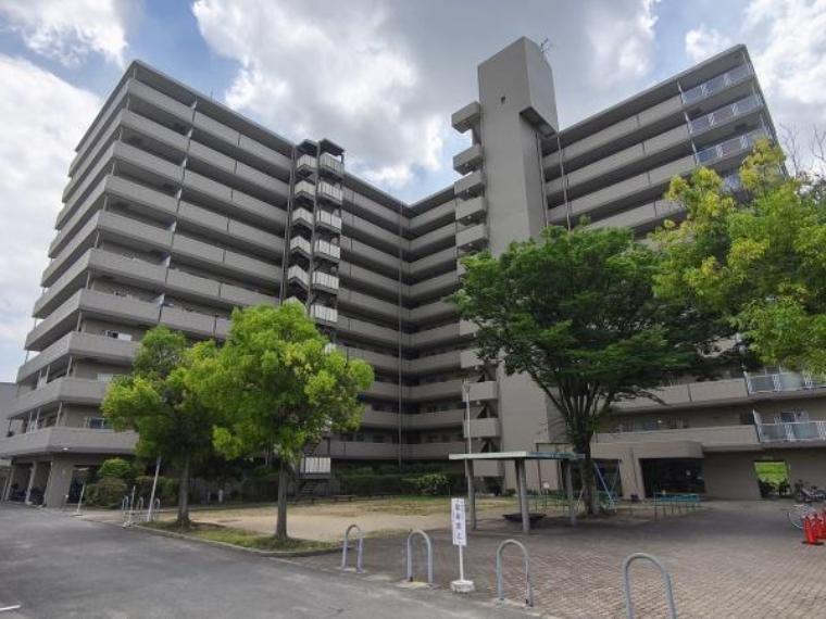 丹波橋日光ハイツ 3階