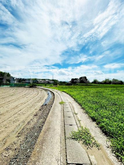 現況写真 前面道路（2025年7月撮影）