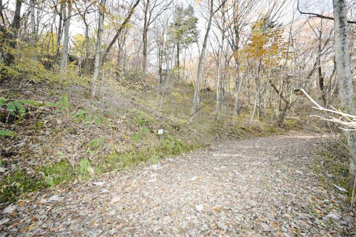 北佐久郡軽井沢町大字軽井沢