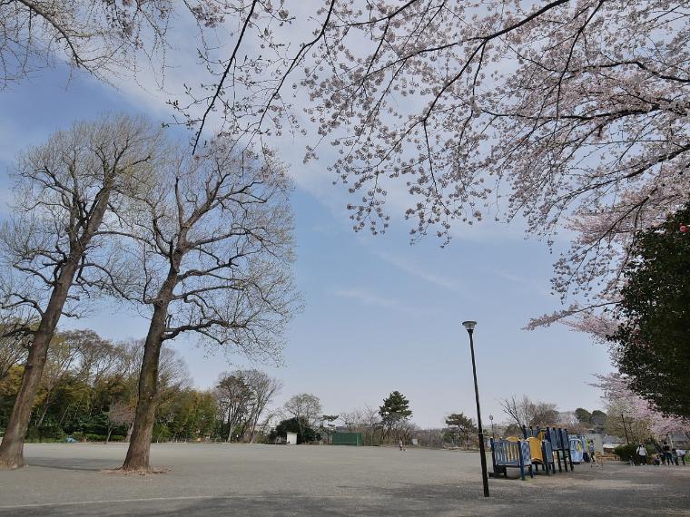 川上公園（広い広場や遊具のある見晴らしの良い公園。春には桜の下でお花見ができます。）（約650m）