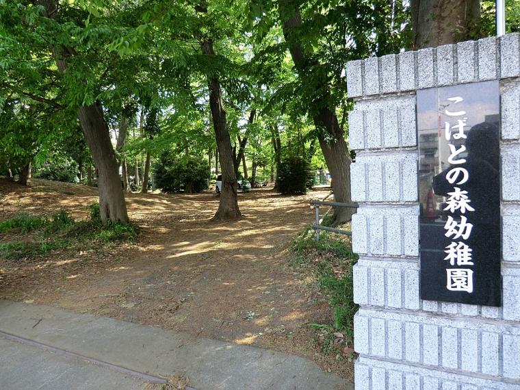 こばとの森幼稚園（約600m）