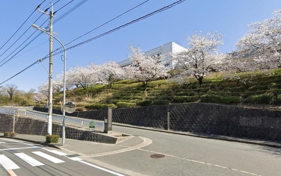 平野中学校（約1,800m・徒歩25分）