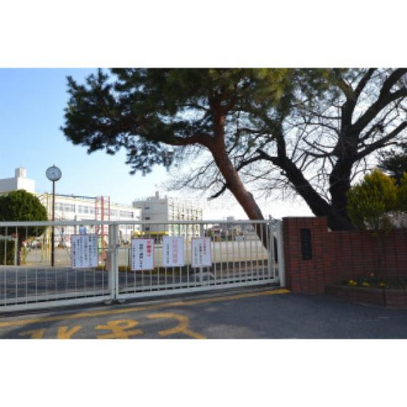 藤沢小学校（約737m）