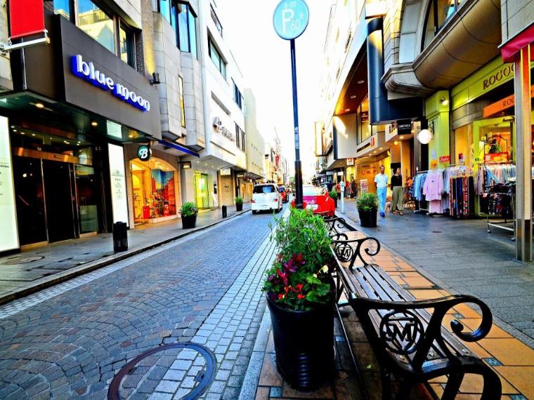 横浜元町ショッピングストリート（老舗店舗の重厚な佇まいとおしゃれなショップが混在する楽しいストリート。）（約1,100m）