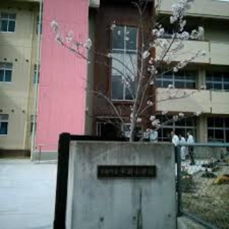 【小学校】平群町立平群小学校まで562m（約562m）