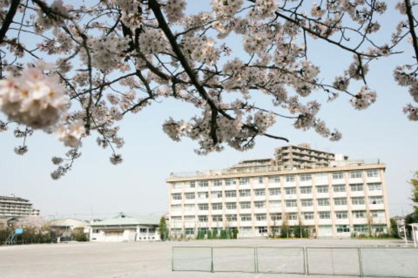 【中学校】八潮市立八幡中学校まで1940m（約1,940m）