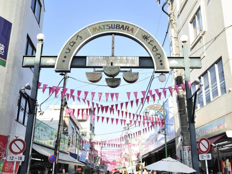 洪福寺松原商店街（横浜のアメ横と呼ばれる名物商店街。「やすさ・きやすさ」をモットーに常に賑わっています。）（約500m）