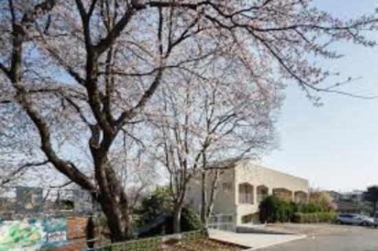 【幼稚園】幼保連携型認定こども園南幼稚園まで242m（約242m）