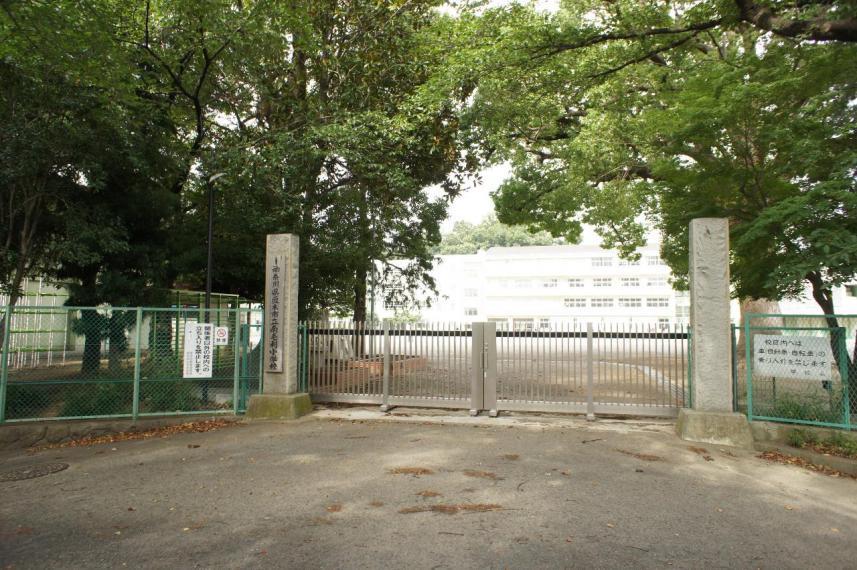 小学校 厚木市立南毛利小学校まで約700m（徒歩9分）