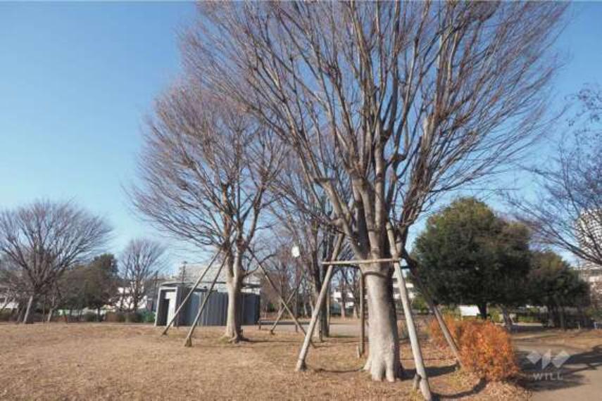 中村かしわ公園の外観（約1,274m）