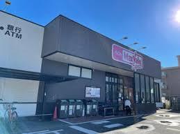 マックスバリュエクスプレス静岡大岩店（約480m・徒歩6分）