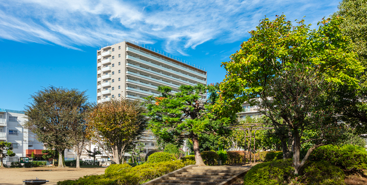 メイツ川越南台