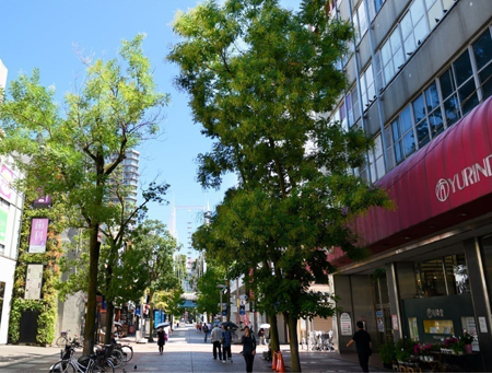 Yahoo 不動産 リビオレゾン横濱大通り公園 横浜市営地下鉄ブルーライン 阪東橋 駅 徒歩4分 約300m 新築マンション 分譲マンション