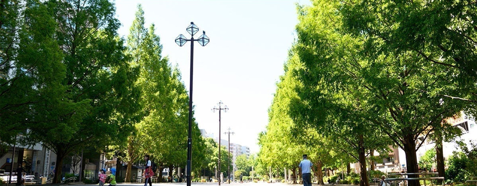 Yahoo 不動産 リビオレゾン横濱大通り公園 横浜市営地下鉄ブルーライン 阪東橋 駅 徒歩4分 約300m 新築マンション 分譲マンション