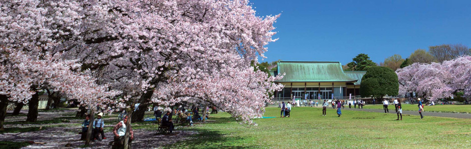 Yahoo 不動産 シティテラス小金井公園 西武新宿線 花小金井 駅 徒歩8分 新築マンション 分譲マンション