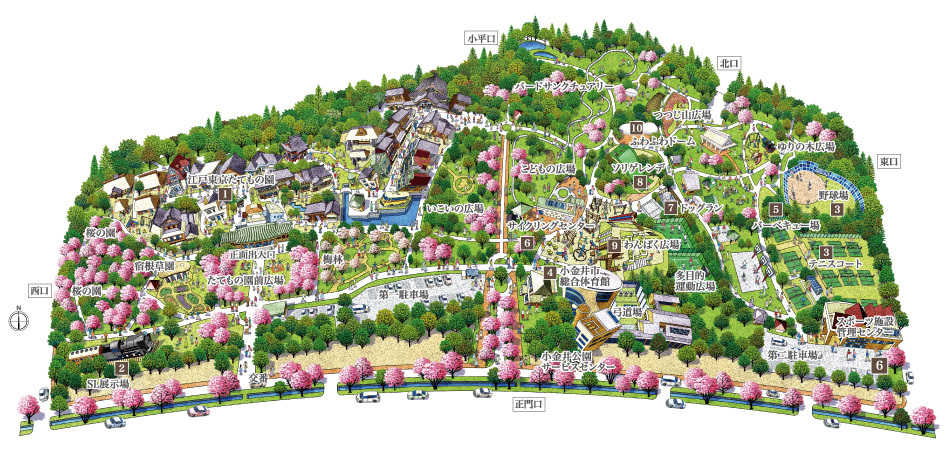 Yahoo 不動産 シティテラス小金井公園 西武新宿線 花小金井 駅 徒歩8分 新築マンション 分譲マンション