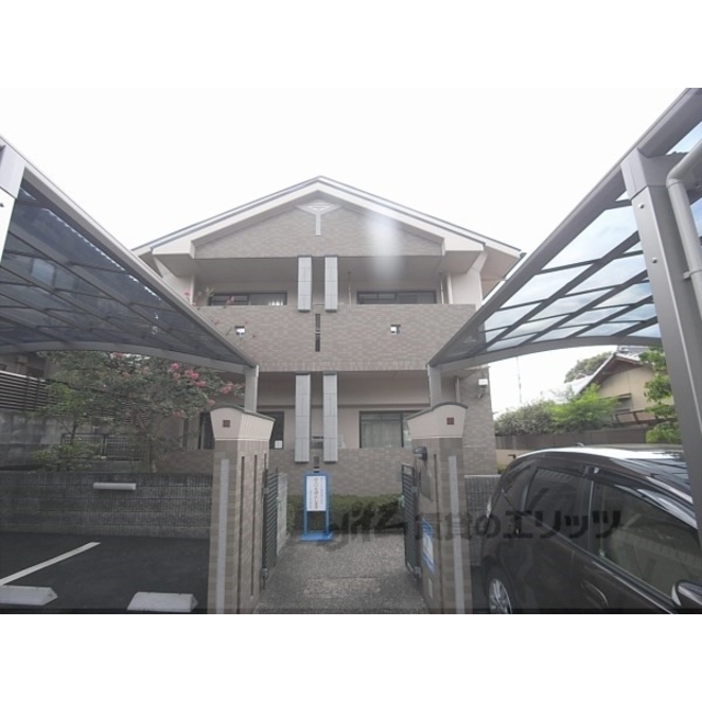 コンチネンタルオオサギの賃貸物件