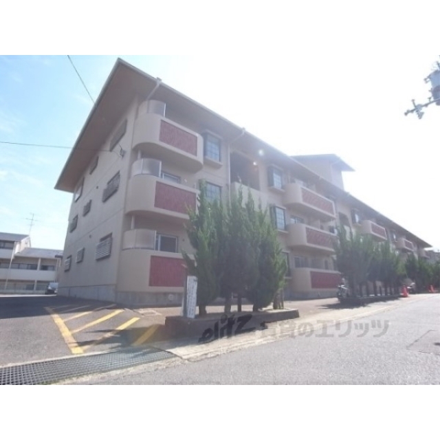 桂駅より徒歩12分 築40年6ヶ月 3階建の賃貸物件