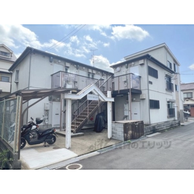 ハイツカトレアの賃貸物件