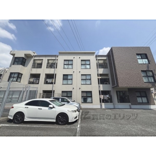 ドムール稲野の賃貸物件