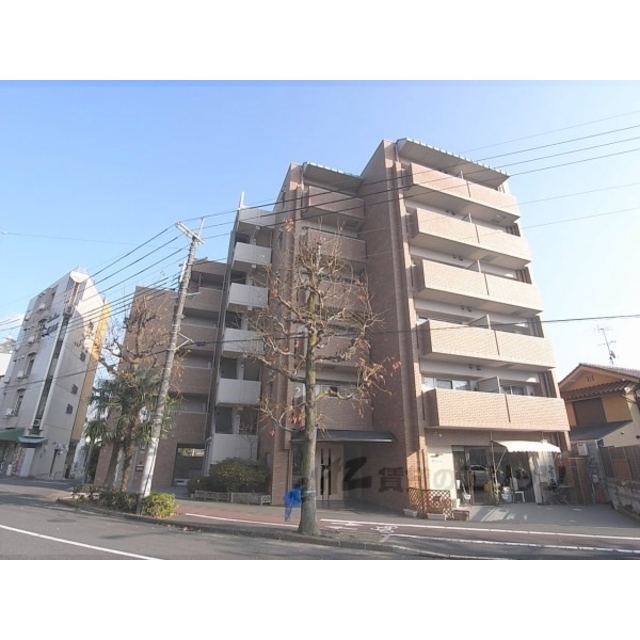 ルピナス紫明の賃貸物件