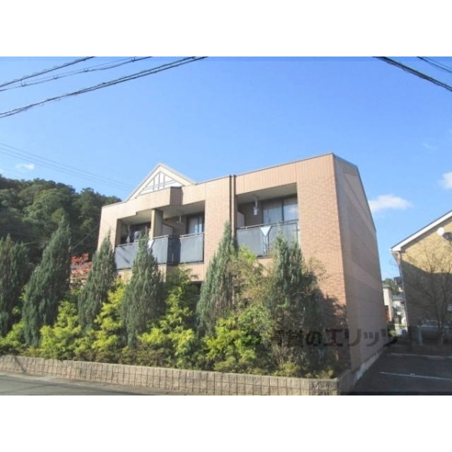 パウロウニアの賃貸物件