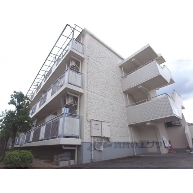 メゾン・ド・シプレの賃貸物件