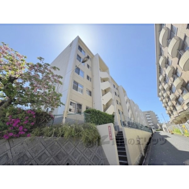 枚方ハイツ２号棟の賃貸物件