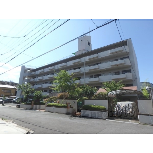 メゾン高野の賃貸物件