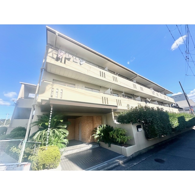 摂津駅より徒歩15分 築41年4ヶ月 3階建の賃貸物件