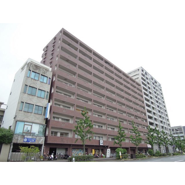 五条駅より徒歩10分 築42年3ヶ月 11階建の賃貸物件