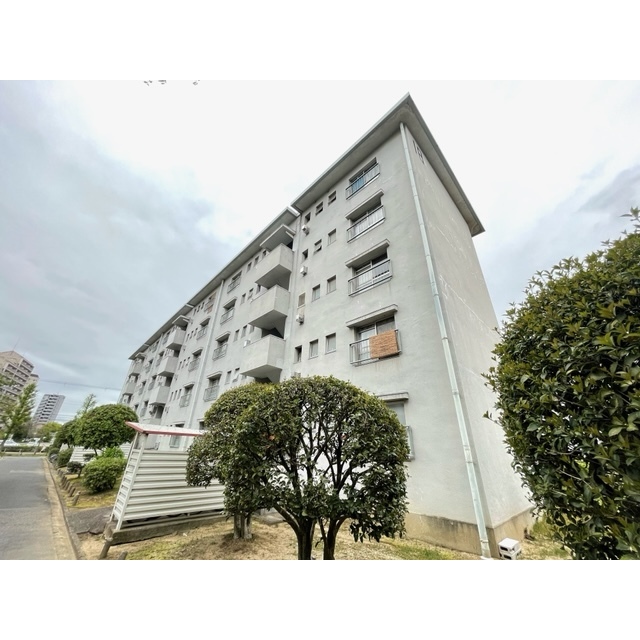 浅香山住宅19棟の賃貸物件