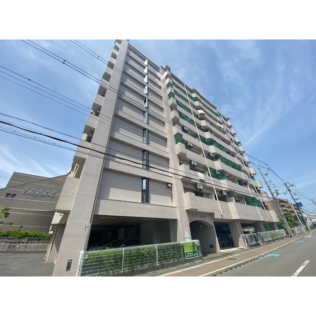 メゾン野田の賃貸物件